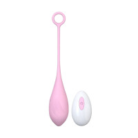 LJ REMOTE CONTROLLED VIBRATING EGG