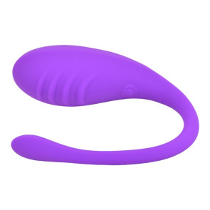 LJ REMOTE CONTROLLED LOVE EGG VIBRATOR