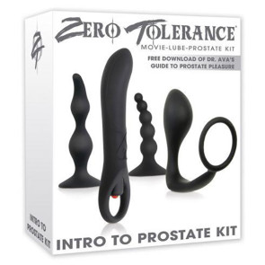 INTRO TO PROSTATE MASSAGE MENS ANAL TOY KIT